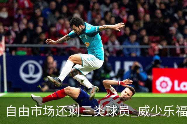 自由市场还剩三类球员 威少乐福领衔失业大军？